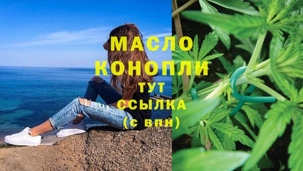 гашик Арсеньев