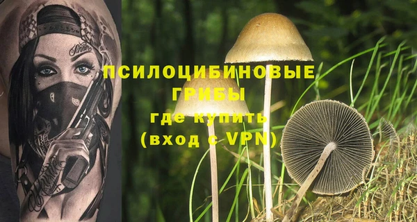 ECSTASY Аркадак