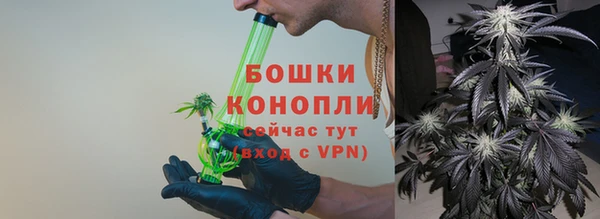 гашик Арсеньев