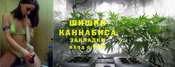 герыч Мегион