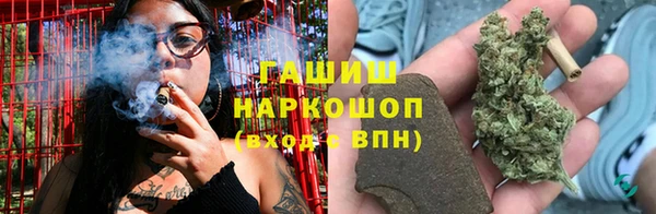 гашик Арсеньев
