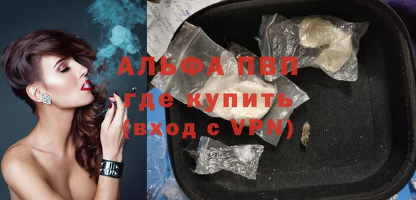 гашик Арсеньев